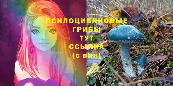кокаин премиум Новозыбков
