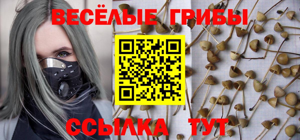 Торжок  Галлюциногенные грибы GOLDEN TEACHER  Вход с VPN 