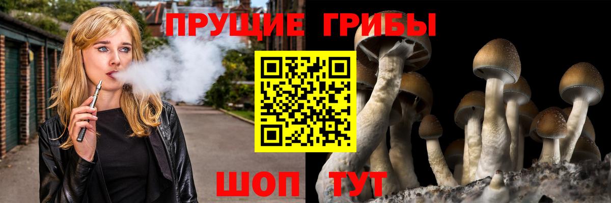 Псилоцибиновые грибы мухоморы Торжок